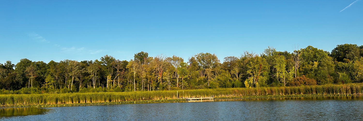 Northern__pike's profile banner image