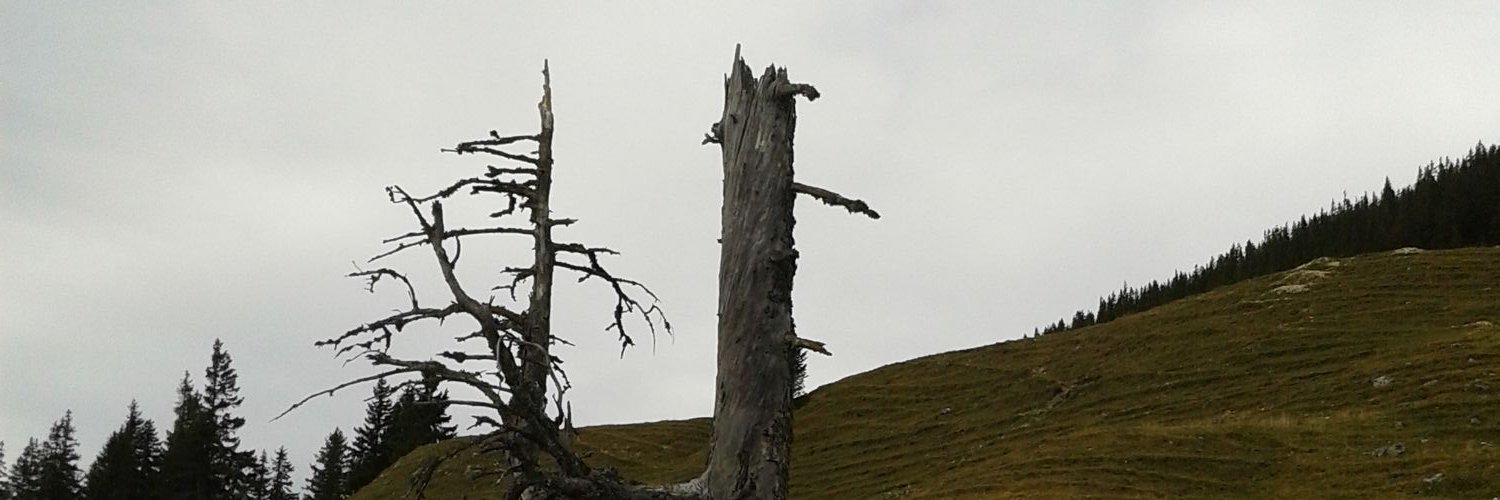 der_duzzy's profile banner image
