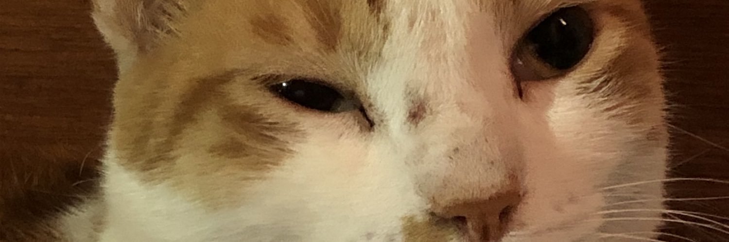 NtoekMz's profile banner image
