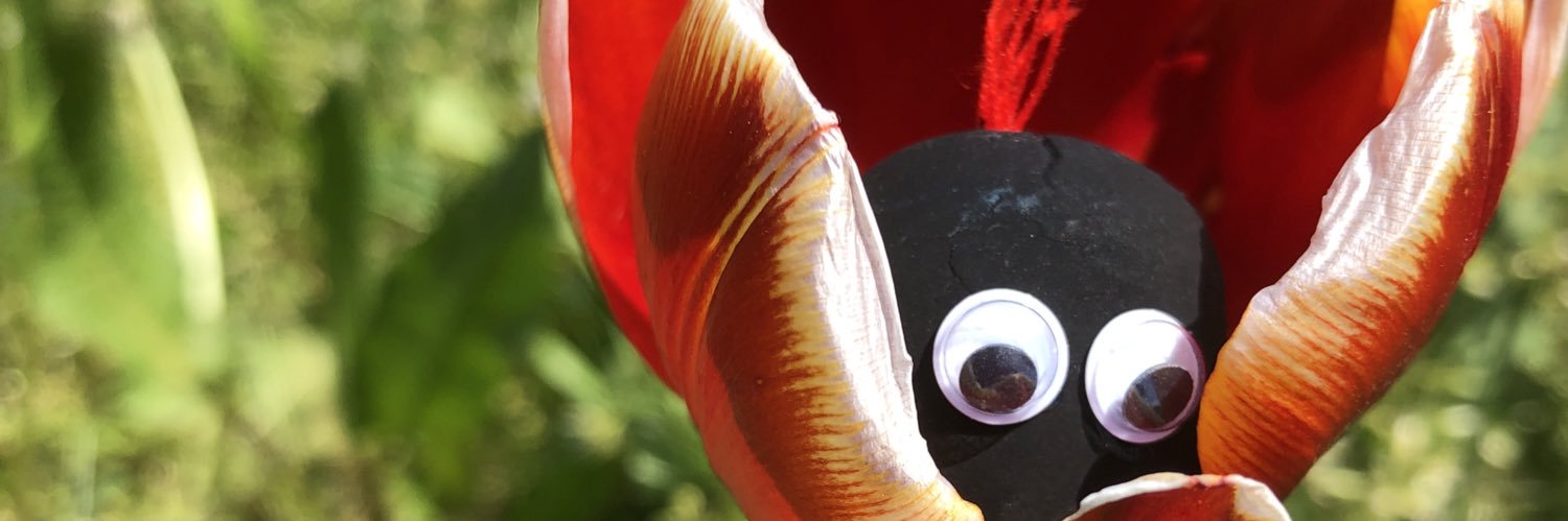 header image