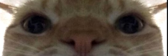 lolpetijn's profile banner image
