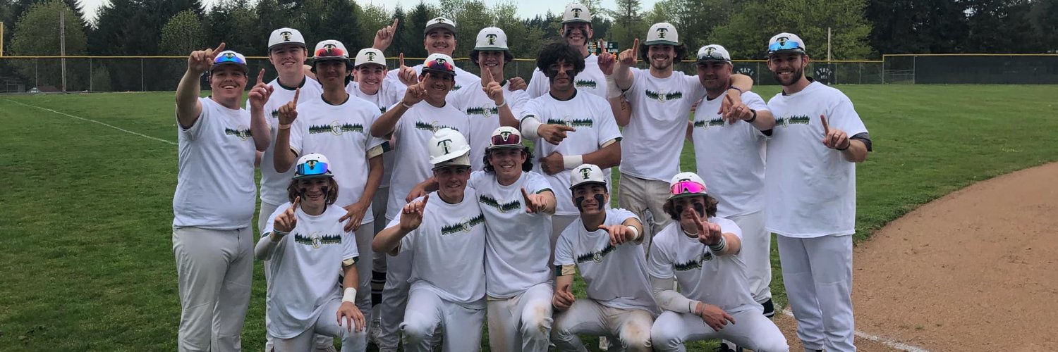 Timberline Baseball banner