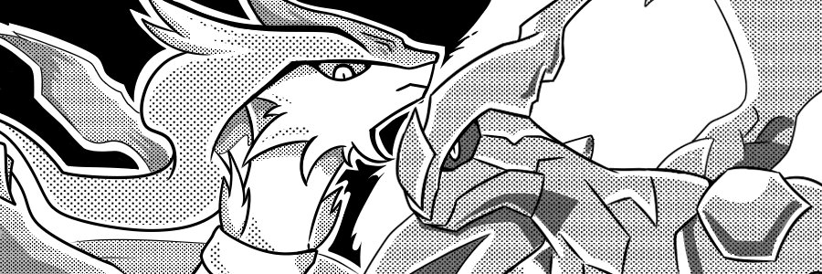 reshiramslayer's profile banner image