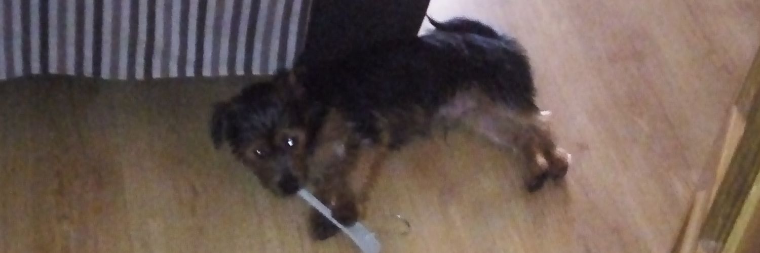 Abelmg21's profile banner image