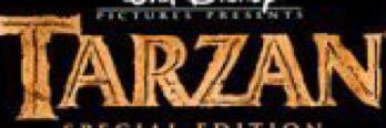 teamtarzan15's profile banner image