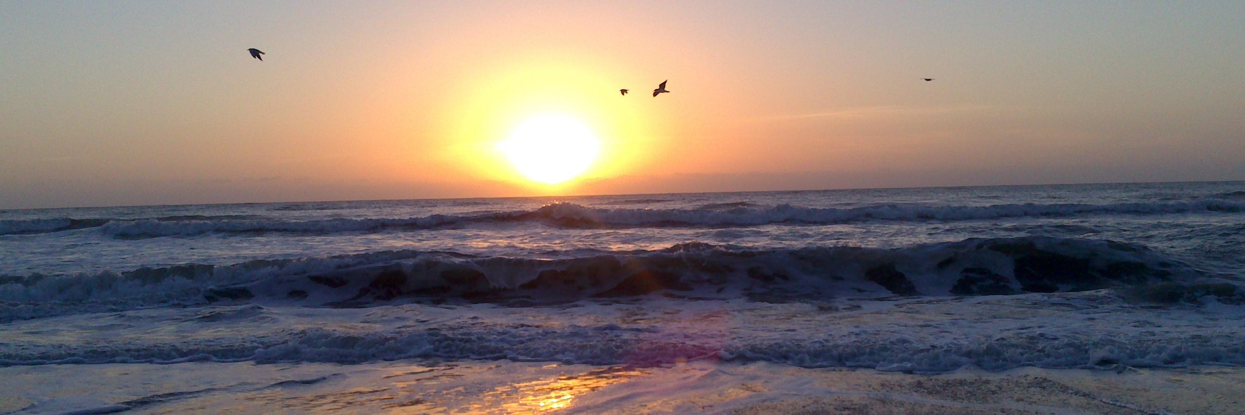 BrianPolicani's profile banner image