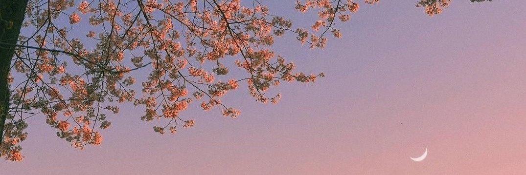 khferrer's profile banner image