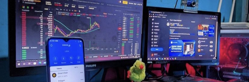 A_CryptoG33's profile banner image