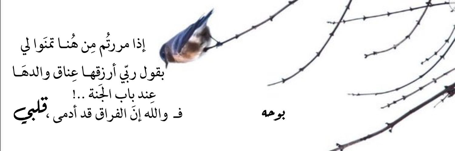 s_mohammed30's profile banner image