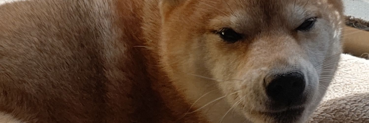 eiken19691's profile banner image