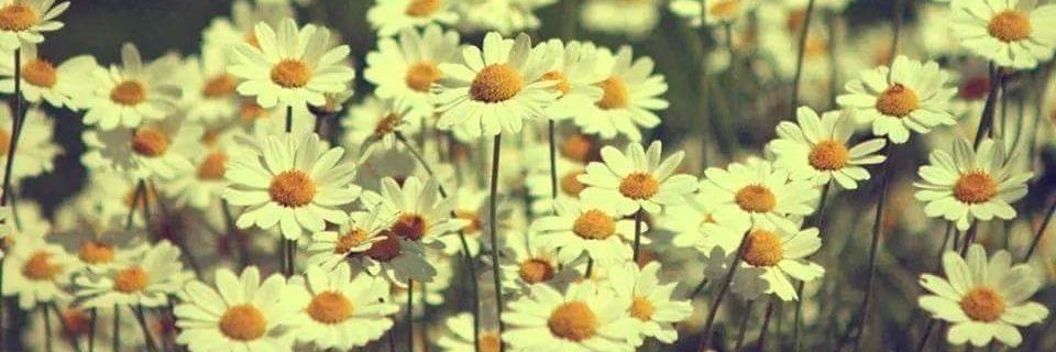 andogan_nur's profile banner image