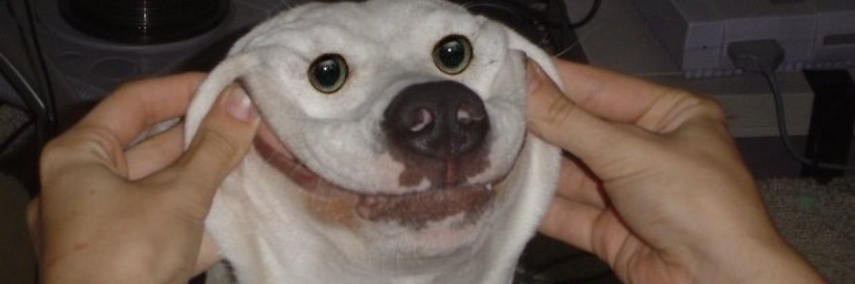 EmmaCanales0's profile banner image