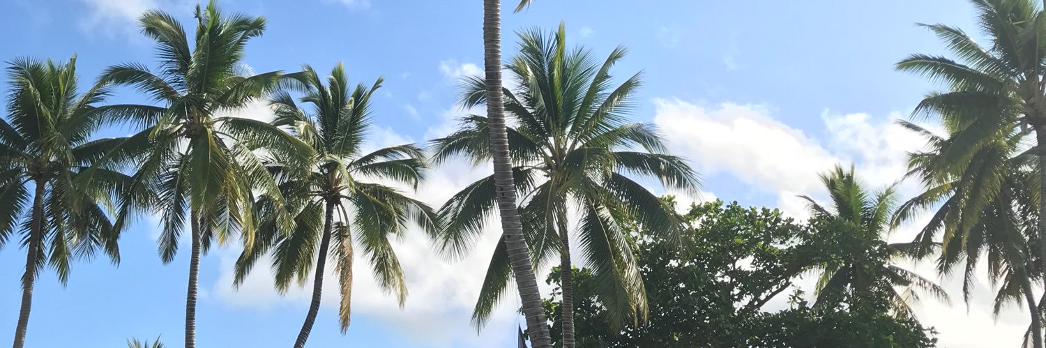 BandingHalsey's profile banner image