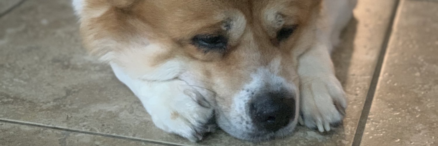 espinsy24's profile banner image