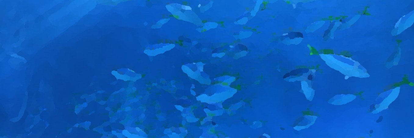 starleoda banner