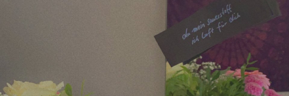awwnellaa's profile banner image