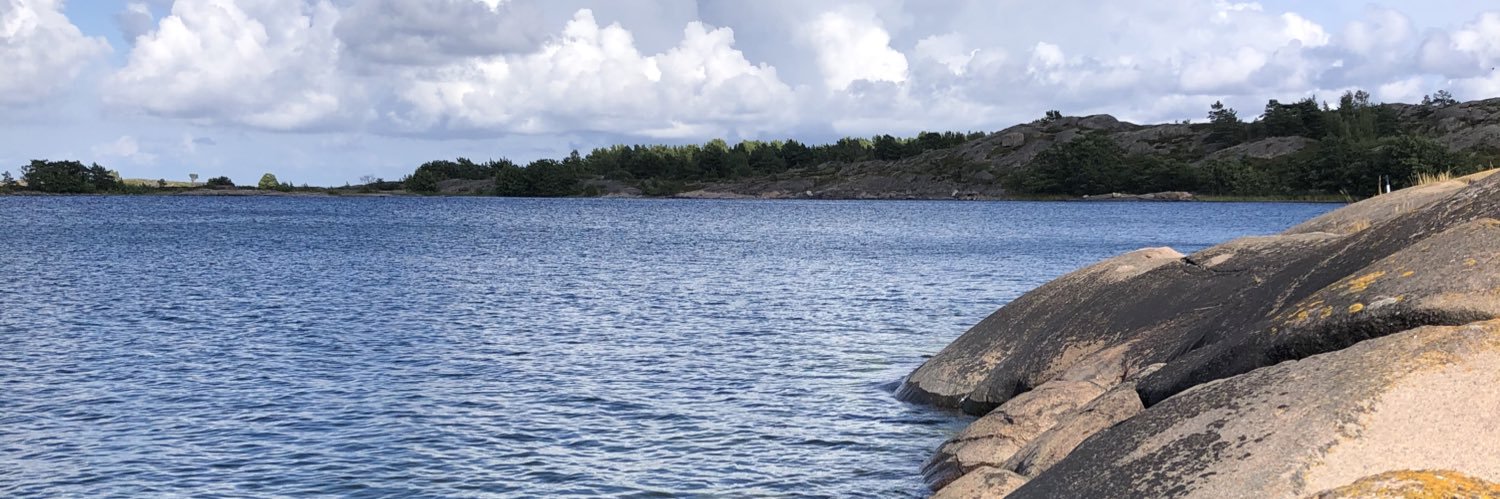 Kari Tuutti banner