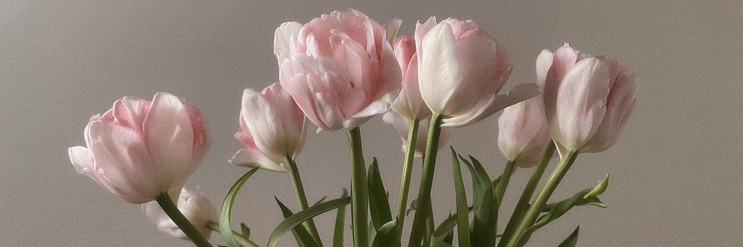 orchydrangea's profile banner image