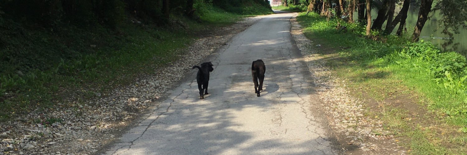 Dushanium 🧪🇪🇺 banner