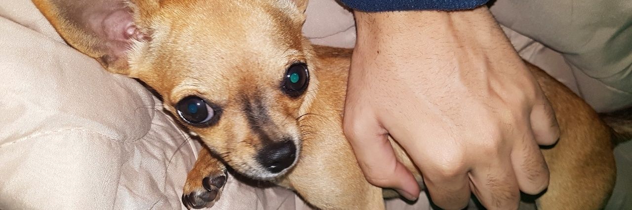VictorRN19's profile banner image