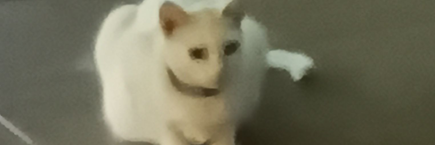 Juneeeelle's profile banner image