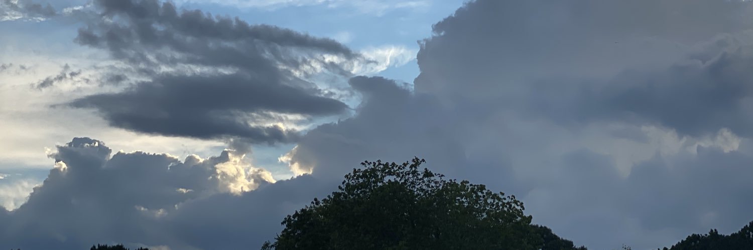 tamaritane21's profile banner image