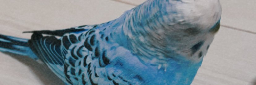 nattou0926's profile banner image
