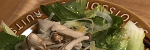 ishidasolid Profile Banner