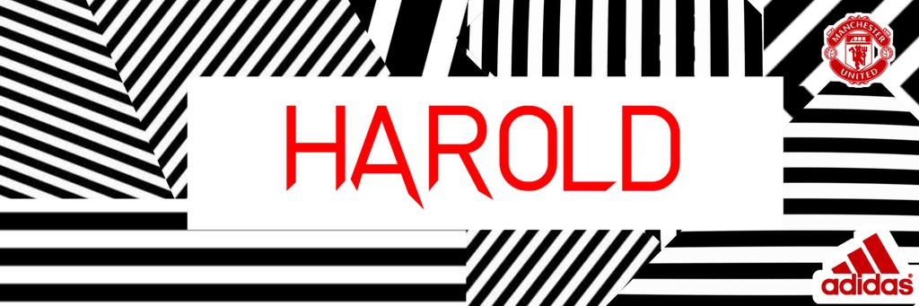 haroldlinks's profile banner image