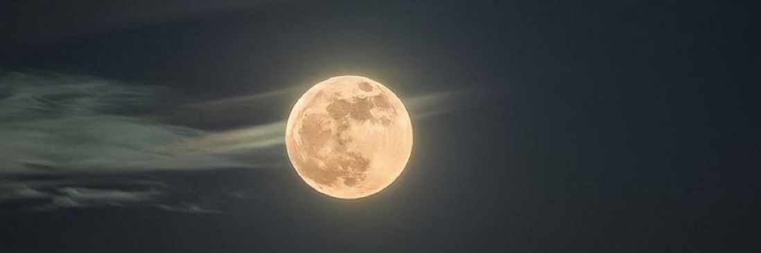 ParraWilson's profile banner image