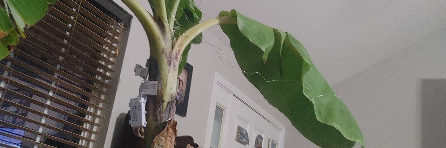 shanlmoore's profile banner image