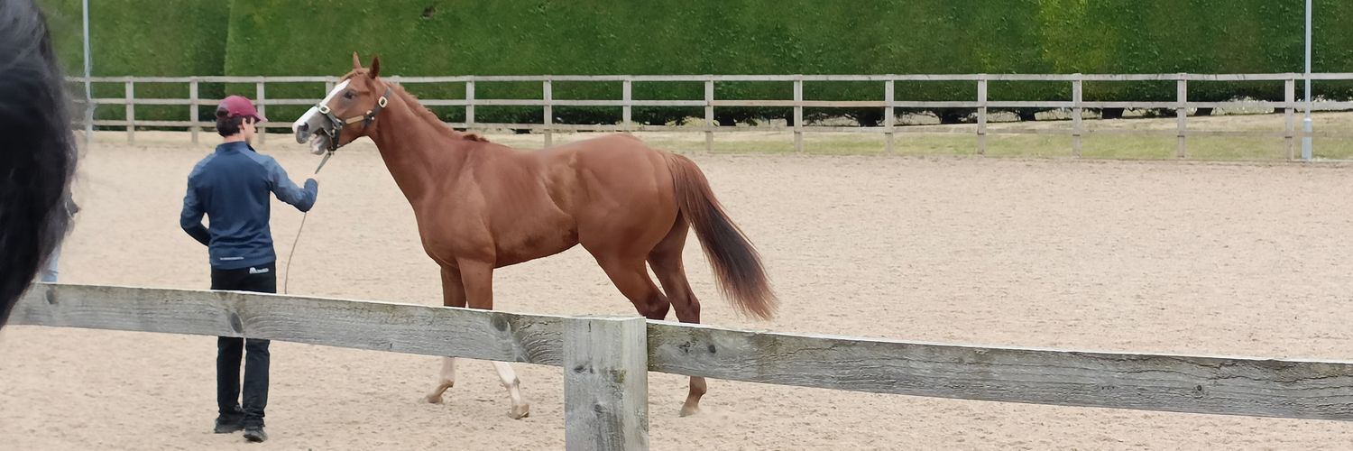 Mike Godfrey𓅪 banner