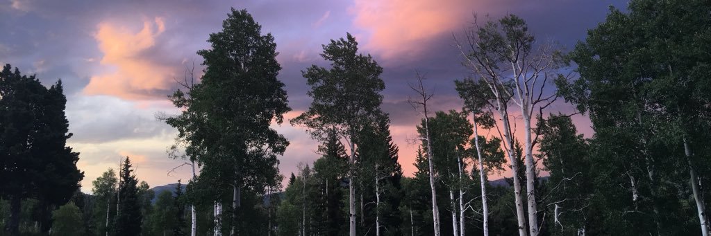 savfrnk's profile banner image