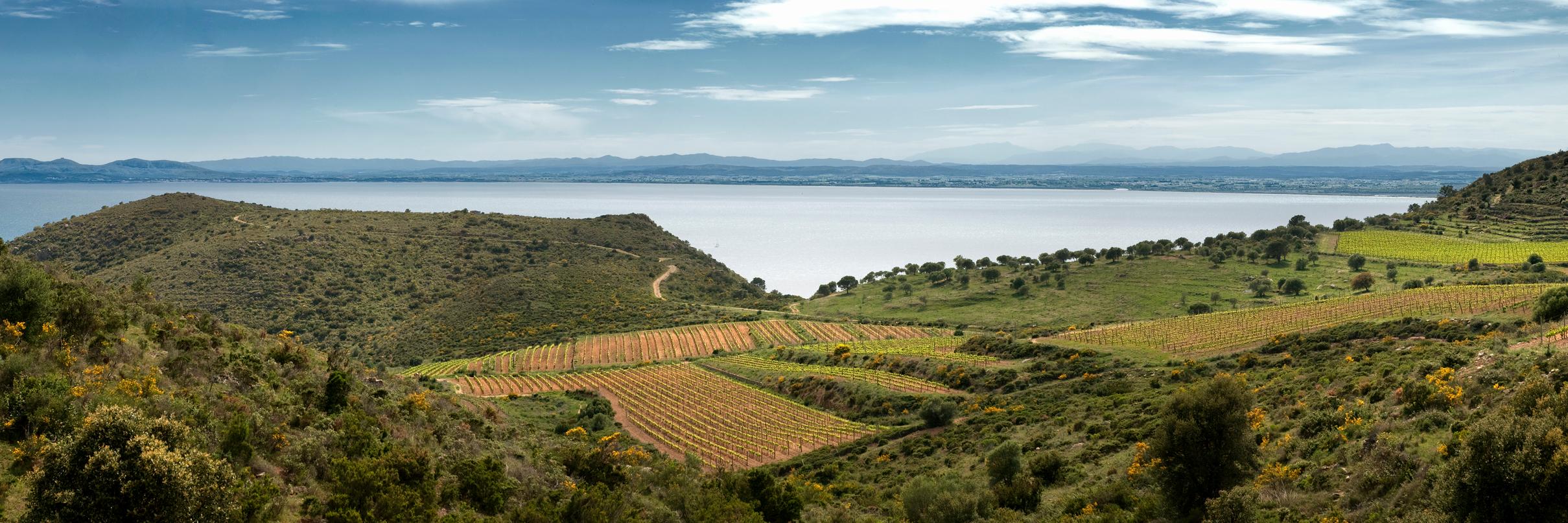 Ceps de Cap de Creus banner