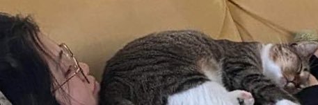softcorngf's profile banner image