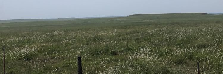 BCT_11's profile banner image