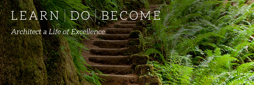 LearnDoBecome.com banner