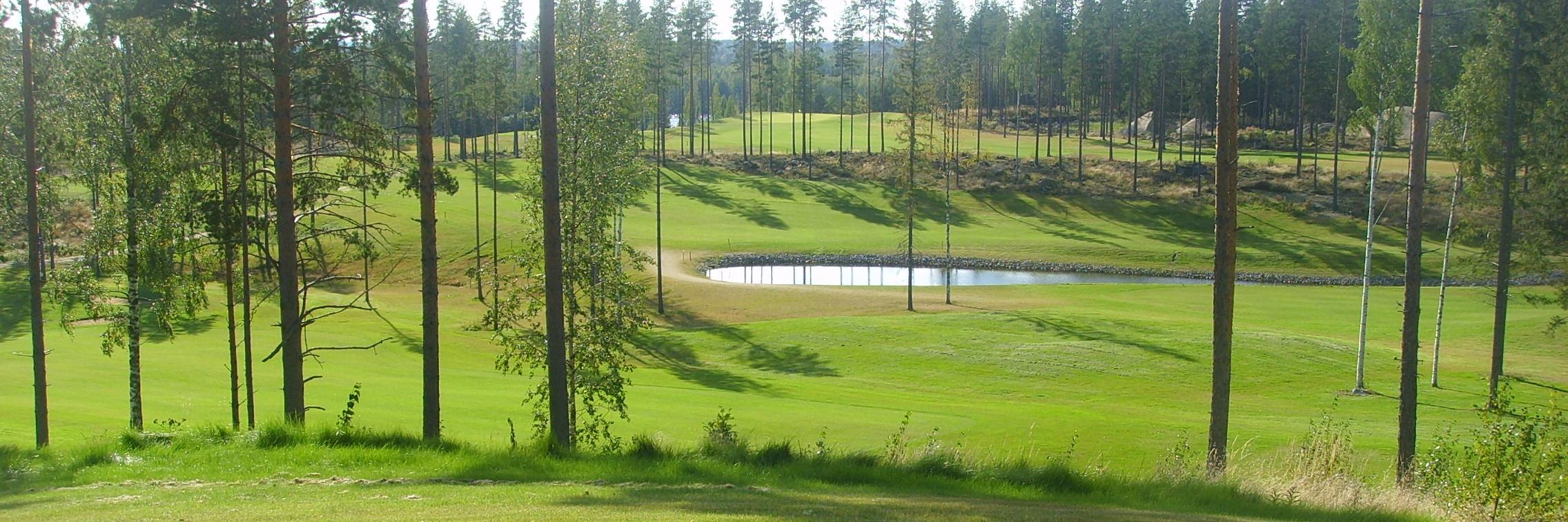 puulagolf's profile banner image