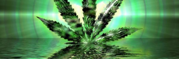 chosen1bot's profile banner image