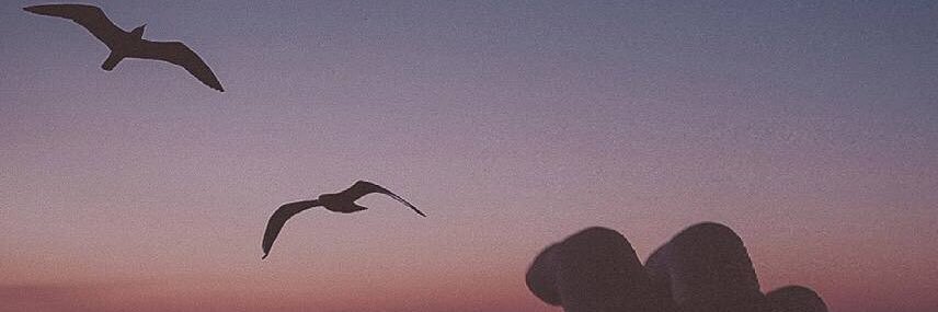 Lilya_Cosmos_'s profile banner image