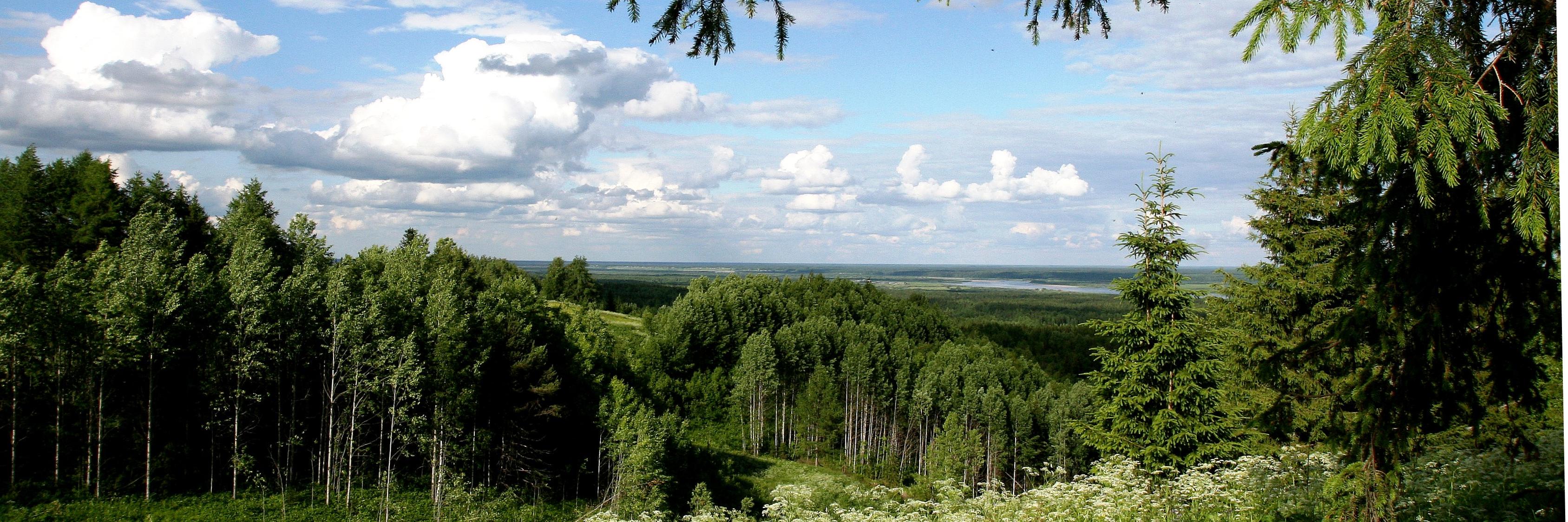 press_ecology's profile banner image