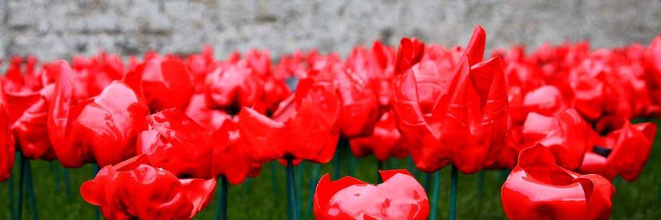 PoppyWorkshops's profile banner image