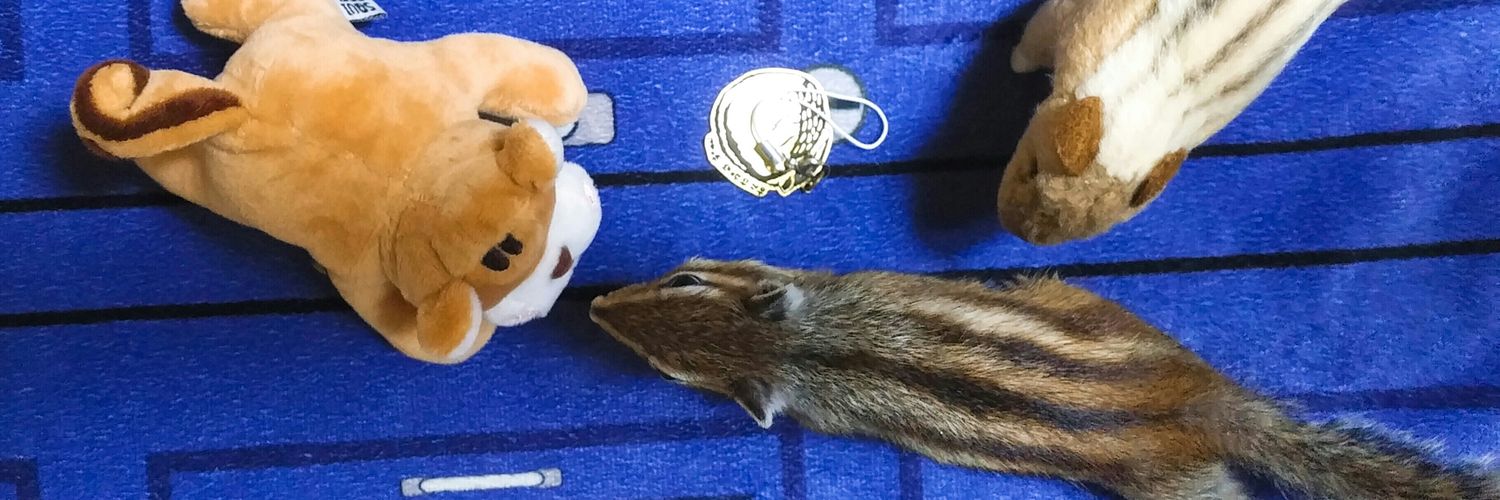 bell_chipmunk's profile banner image