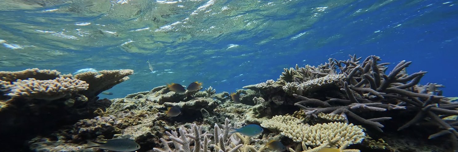 💜😸アマテルル🌺💙 banner