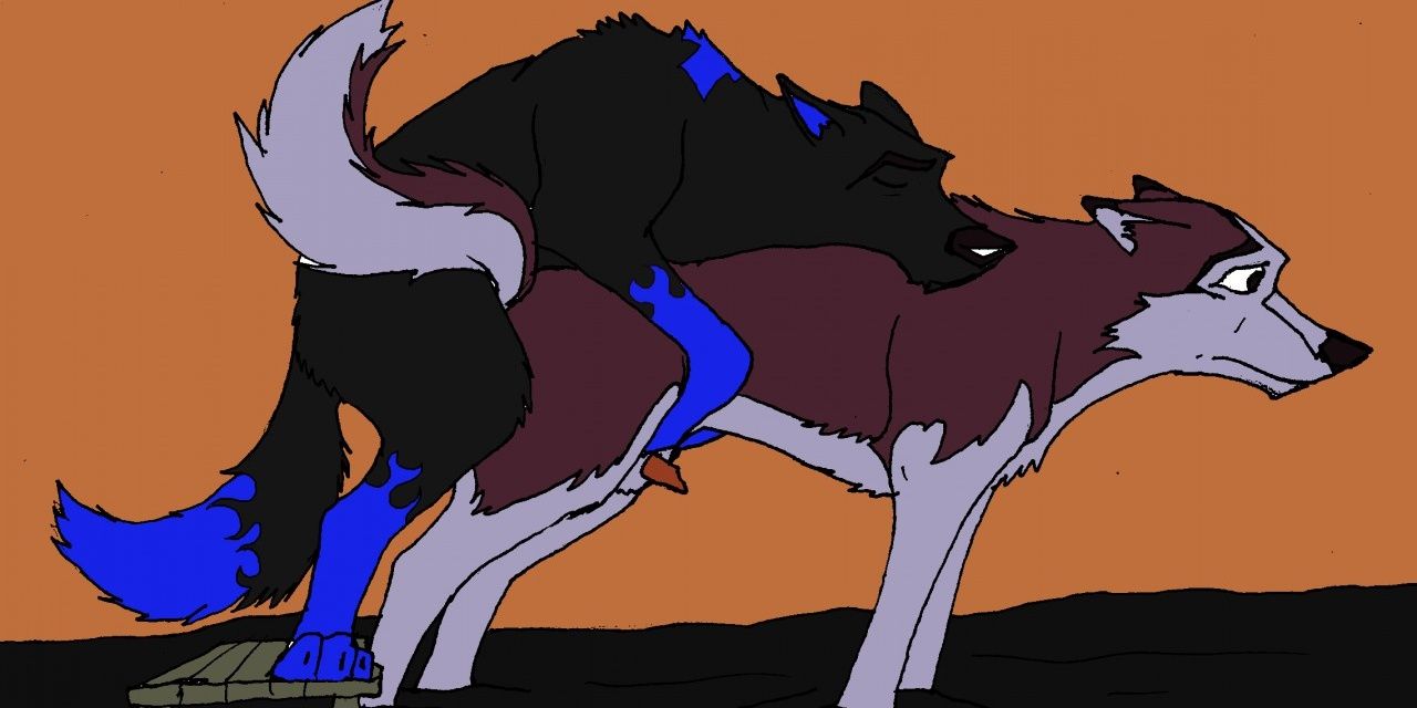 cody_wolf_dog's profile banner image