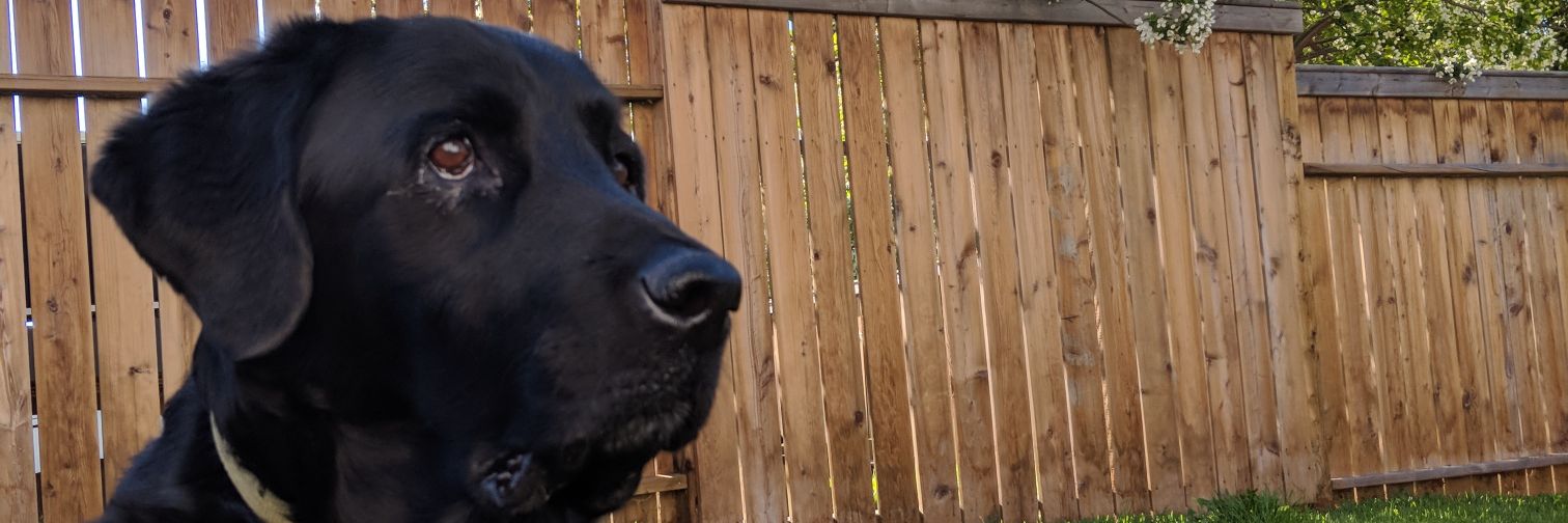 JaidenAnderson_'s profile banner image