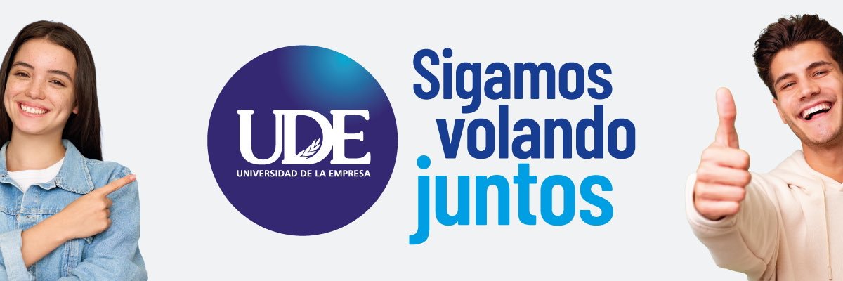 UDE banner