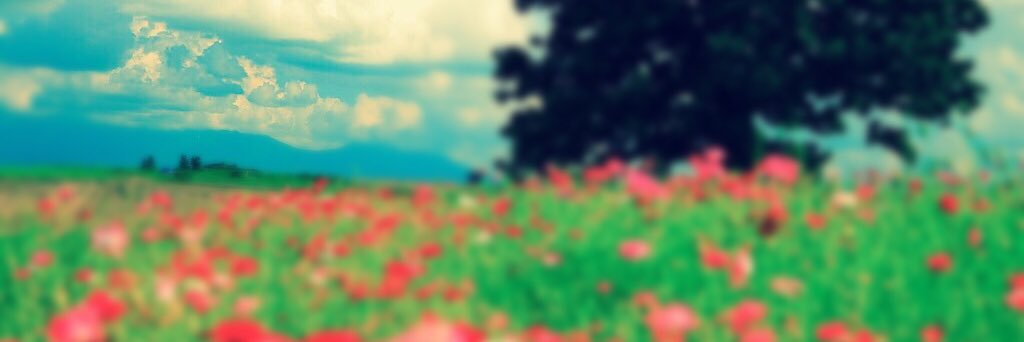 selaandreigns's profile banner image