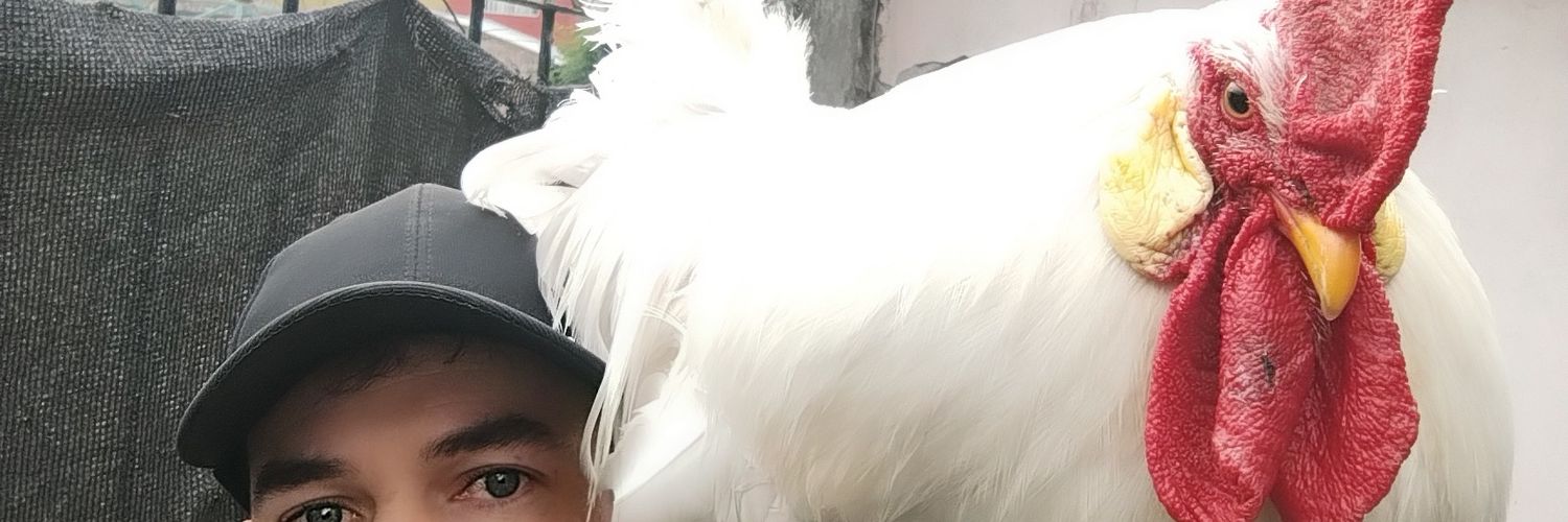 duragnona's profile banner image
