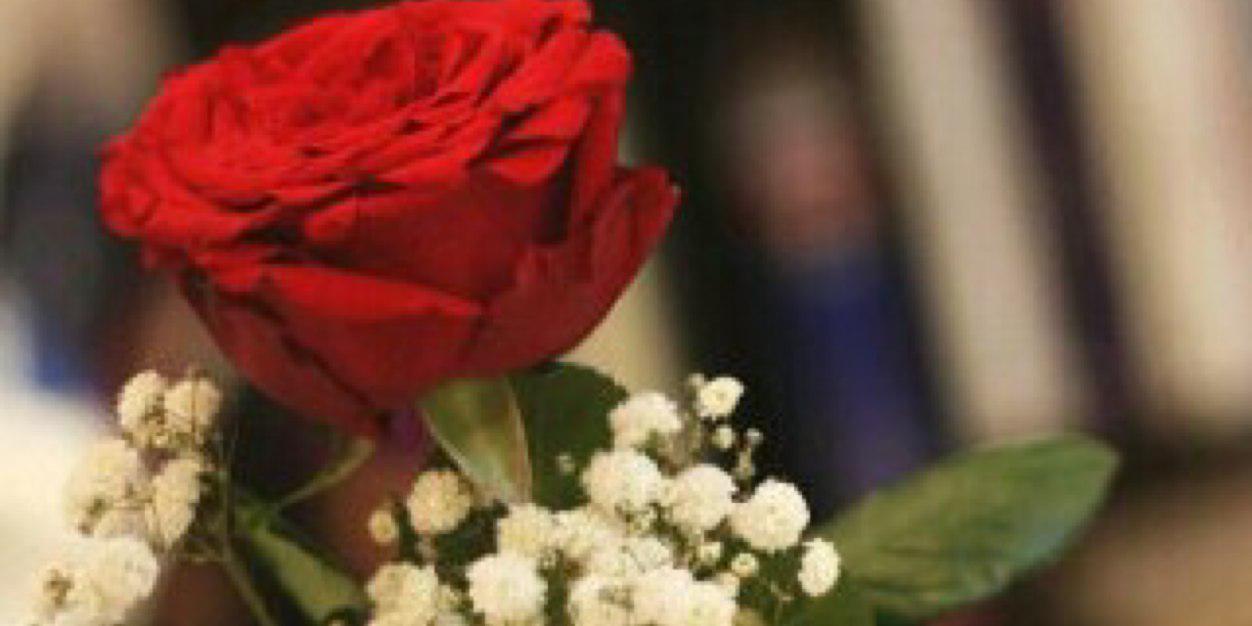seees_xx's profile banner image